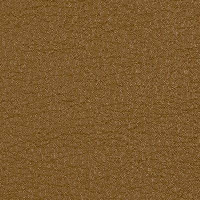 FI-GENESIS - CARAMEL