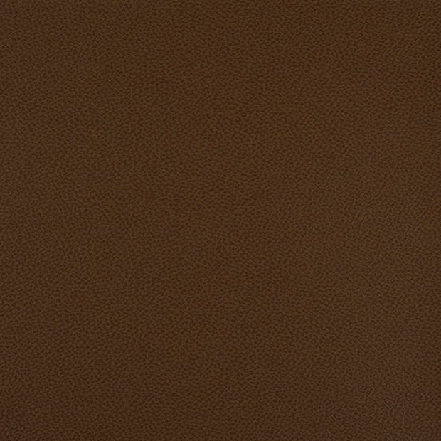 FI-APPEAL - CHOCOLATE 