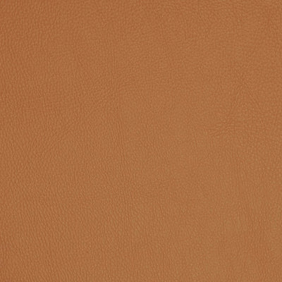 FI - POOLSIDE - HARVEST 