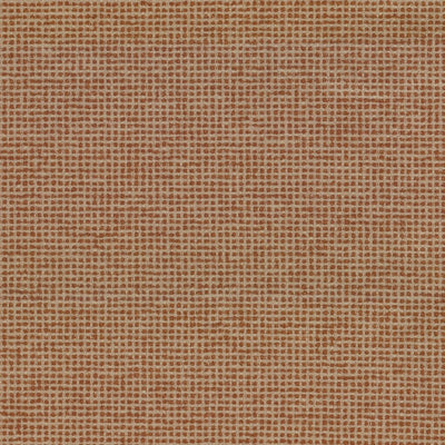 FX-MOTLEY - 344 SPICE