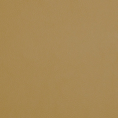 FI - POOLSIDE - SUNGLOW 