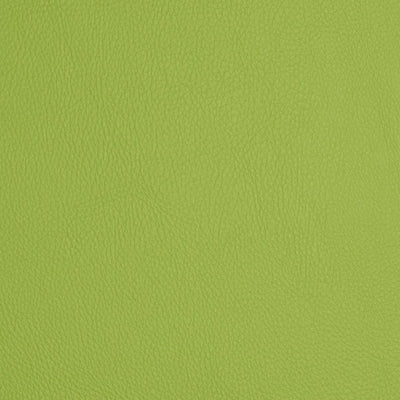 FI - POOLSIDE - LIME 