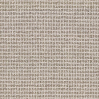 FX-MOTLEY - 199 LATTE