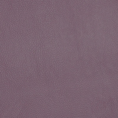 FI - POOLSIDE - WISTERIA