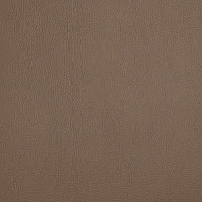 FI - POOLSIDE - WOODLAND