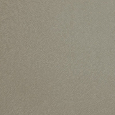 FI - POOLSIDE - LATTE 