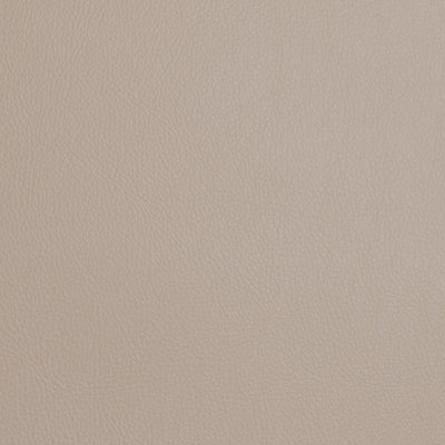 FI - POOLSIDE - DESERT 