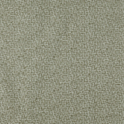 ENTANGLED-SR - 132 MUSHROOM   