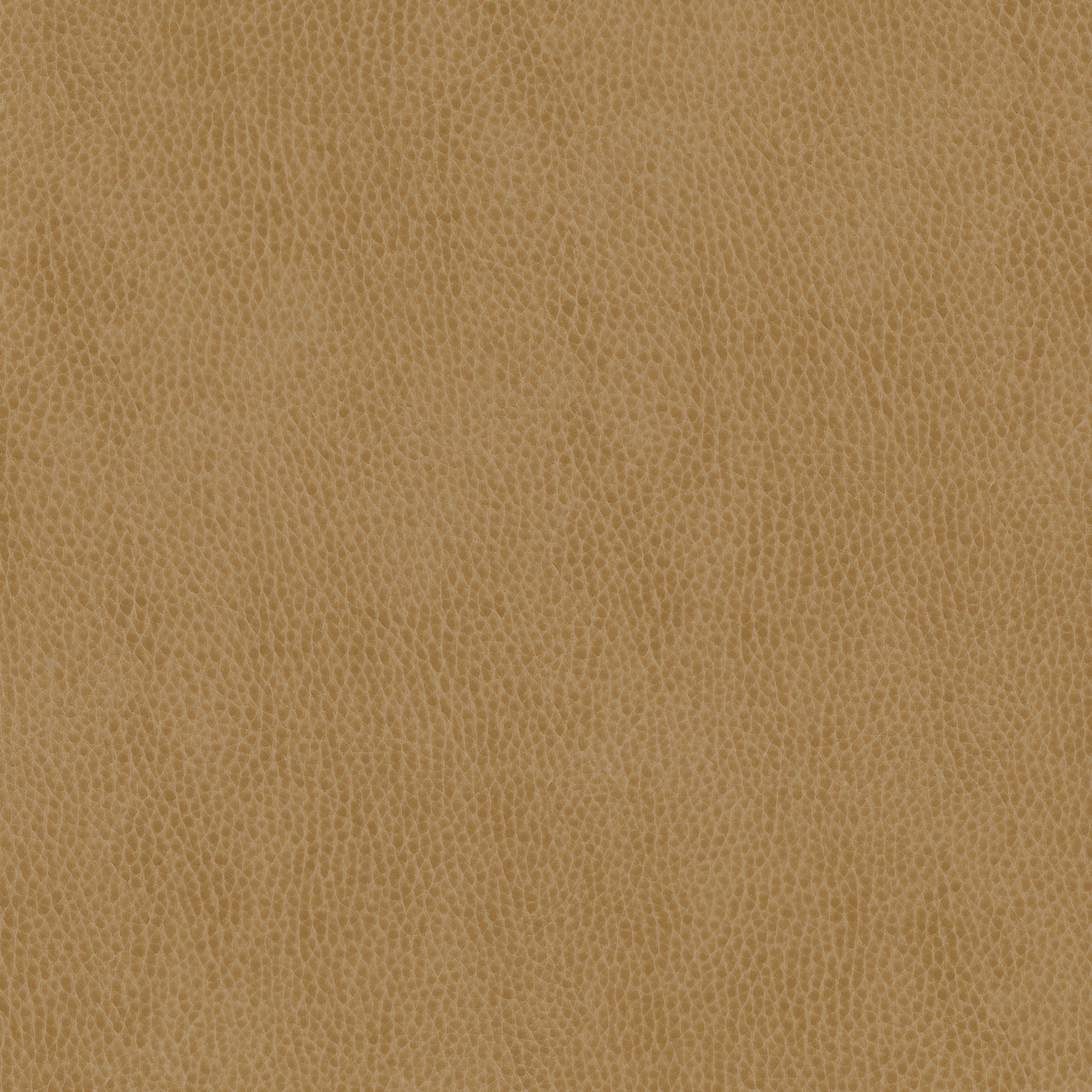 WANNA BE - KHAKI – Fabric Innovations