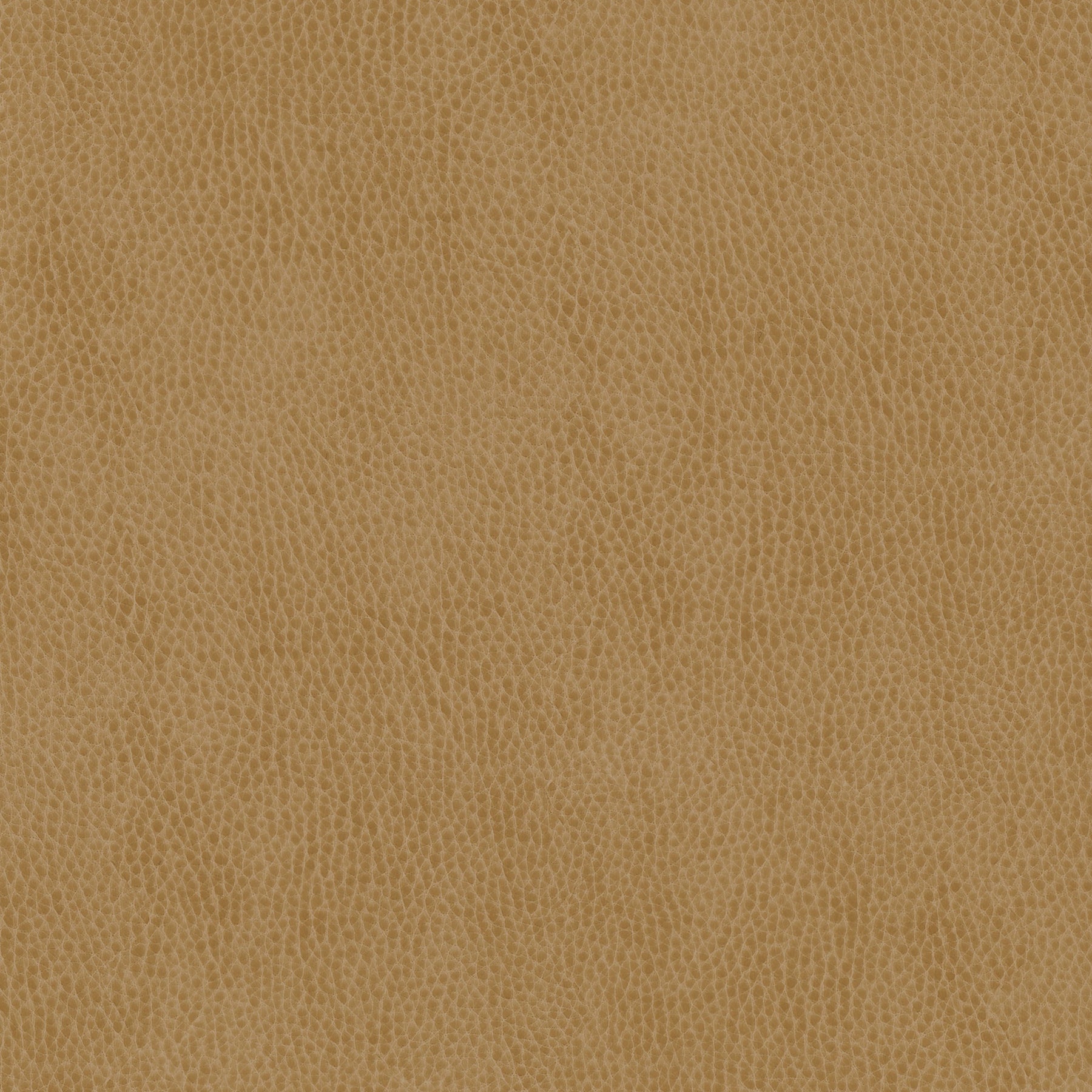 WANNA BE - KHAKI – Fabric Innovations
